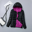 Black Purple