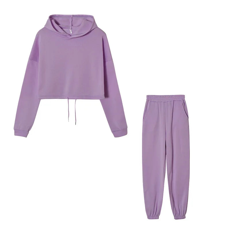 Purple cropped hoodie and joggers set, flat lay
